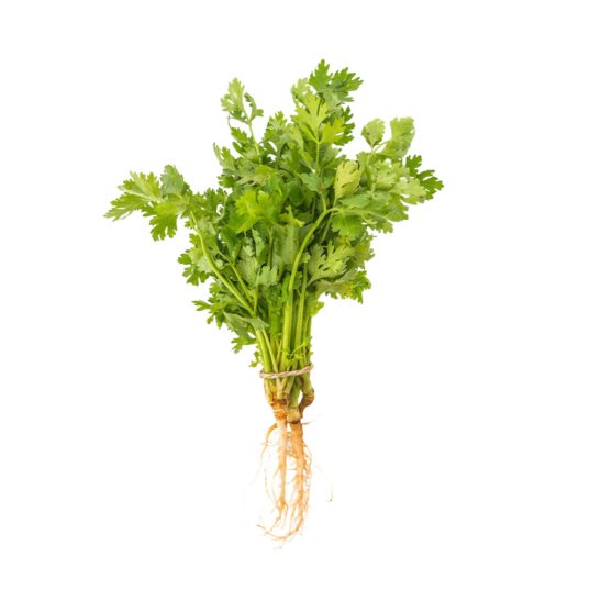 Cilantro 500Gr