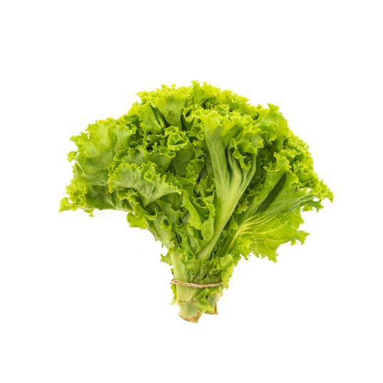 Lechuga rizada Und