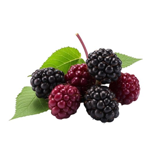 Mora 1 kg