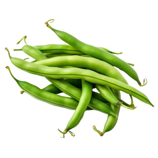 Vainitas Kg