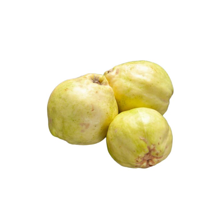 guayaba