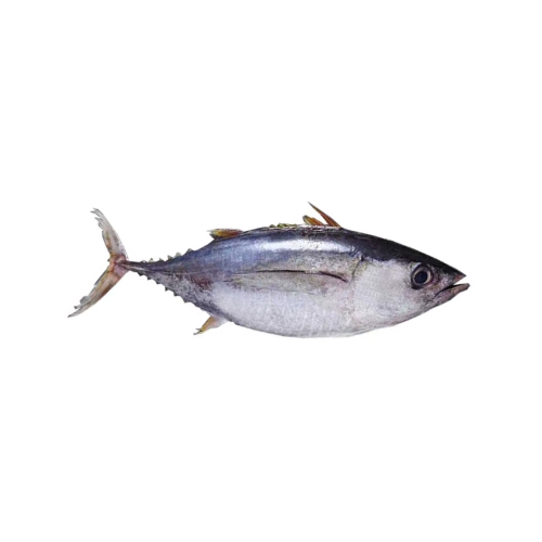atun-pequeno-entero