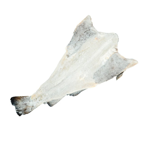 bacalao-entero-salado