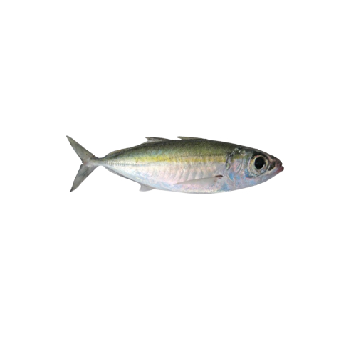 cataco