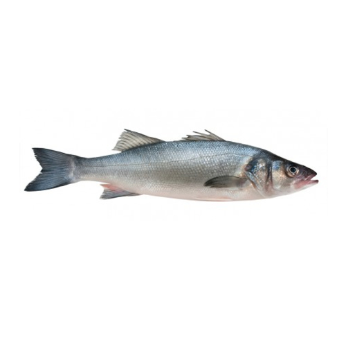robalo-entero